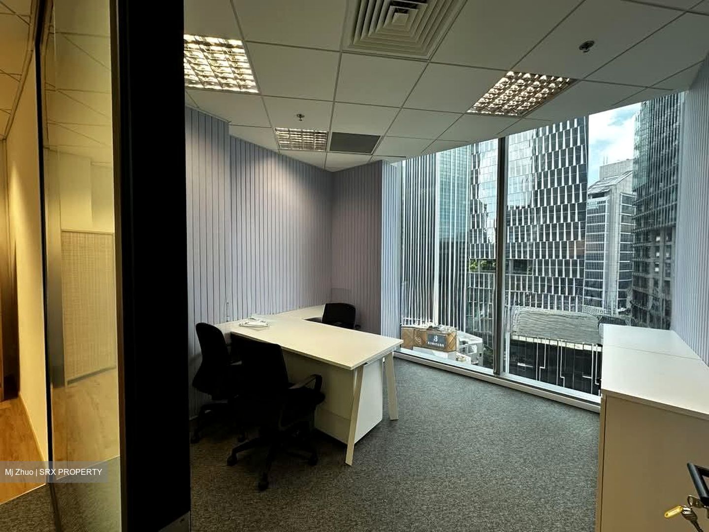 PLUS (D1), Office #543093721